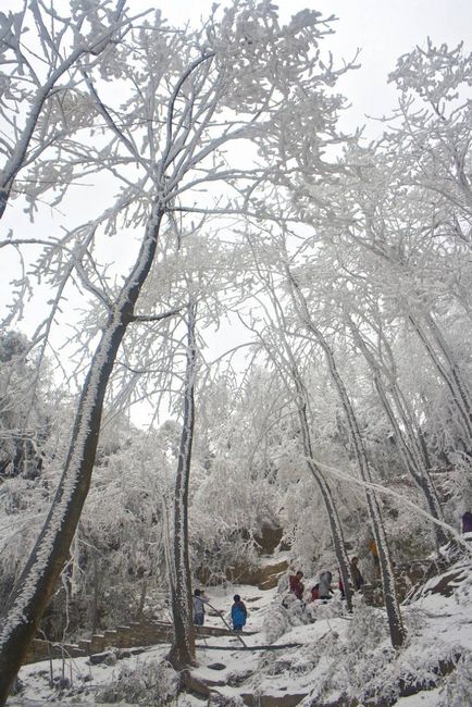 Nemzeti Park Kína Zhangjiajie