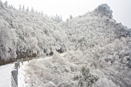 Parcul național din china zhangjiajie