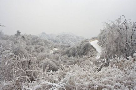 Parcul național din china zhangjiajie