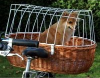 На велосипеді з собакою