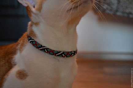 Collar pentru o pisica cu propriile sale maini de margele