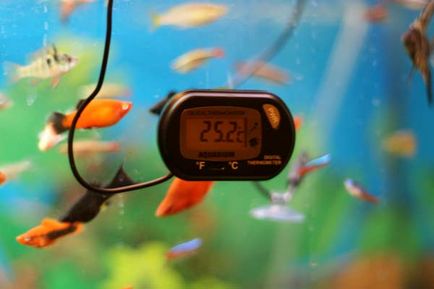 Основні показники якості води в акваріумі