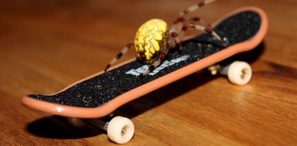 Finger skateboard - ceea ce este, aspectul de fingerboarding