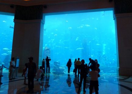 Paphos aquarium