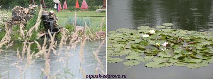 Bird Park - vrabii, regiunea Kaluga