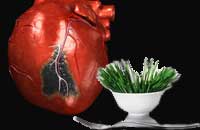Étkezések érelmeszesedés - szív kezelésére