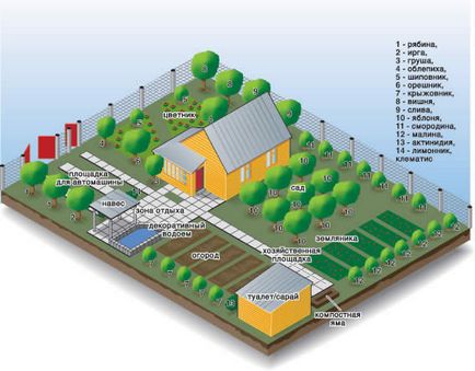 План садової ділянки 6 соток 7 кроків