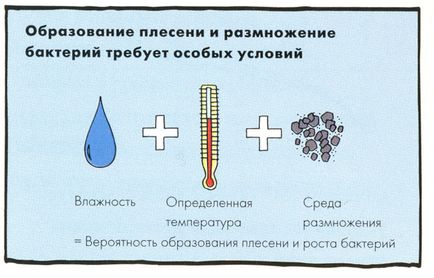 Цвіль і грибок на балконі як боротися взимку (відео)