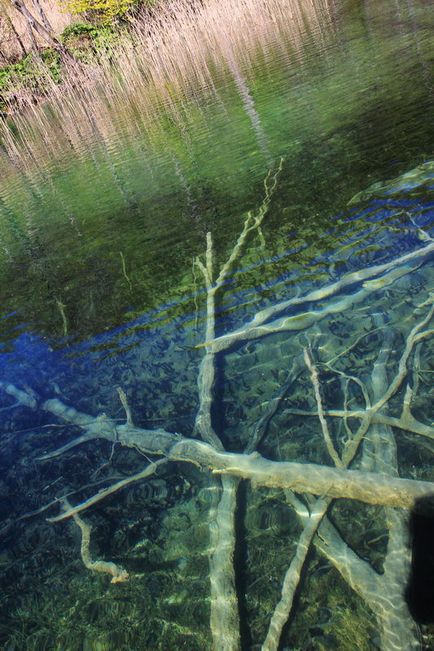 Lacurile Plitvice într-o singură zi - ce să vezi și ce să nu faci - fototravel independent