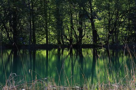 Lacurile Plitvice într-o singură zi - ce să vezi și ce să nu faci - fototravel independent