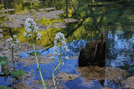 Lacurile Plitvice într-o singură zi - ce să vezi și ce să nu faci - fototravel independent