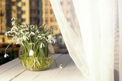 Snowdrops - farmecul primăverii