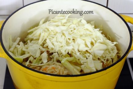 Polonez bigos (bigos staropolski), picantecooking