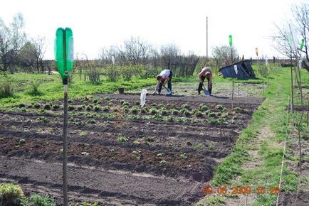 Порадьте ультразвукові відлякувачі гризунів для приміщення і відкритої ділянки - відповіді