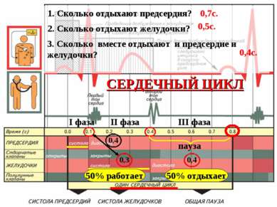 Представяне на - работата на сърцето - свободно изтегляне на биологията на презентацията