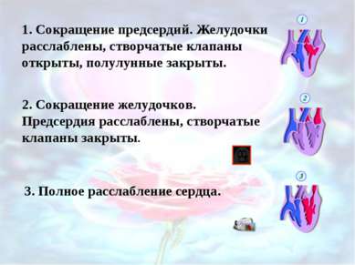 Презентація на тему - робота серця - завантажити безкоштовно презентації з біології