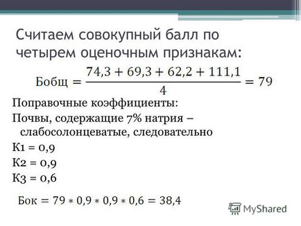 Prezentare pe tema calculării punctajului bonitetului