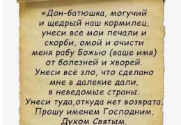 Наснилася собака чорна до чого це, біла вівчарка, руда з блохами вкусила, якої вже немає на