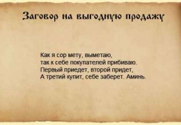 Наснилася собака чорна до чого це, біла вівчарка, руда з блохами вкусила, якої вже немає на