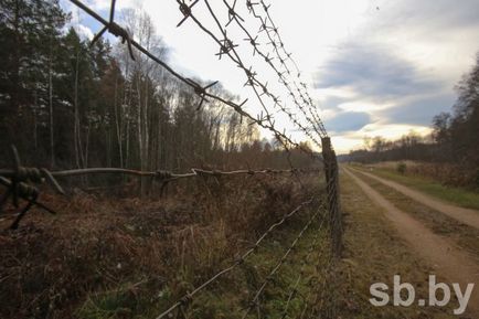 Прості правила не для всіх