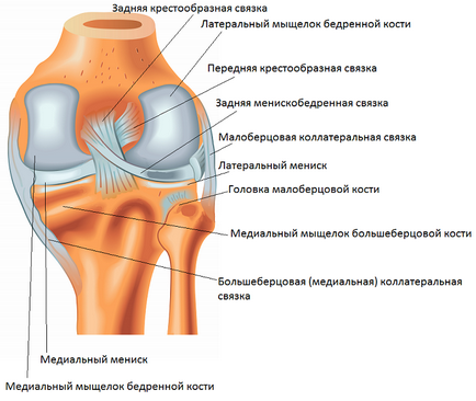 Strângerea articulațiilor genunchiului, simptome, tratament, recuperare