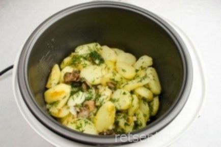 Recept burgonya gombával multivarka Polaris fotókkal