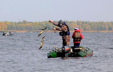 Риболовля в Єйську і Єйський район особливості, популярні місця і рекомендації