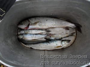 Articol de pescuit 