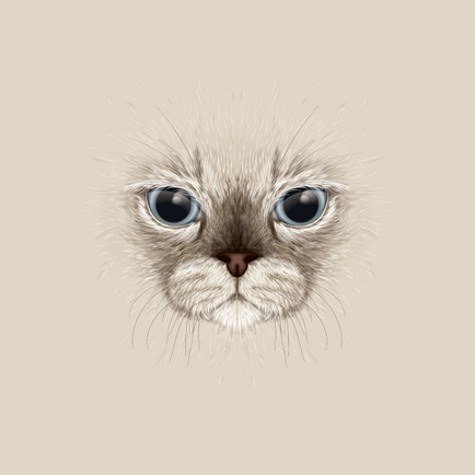 Desenați un portret mare al unei pisici din referința din Adobe Illustrator