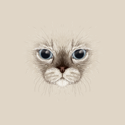 Desenați un portret mare al pisicii de la referință în ilustrul Adobe (portret) Desenați un portret mare al unei pisici din referința din Adobe Illustrator