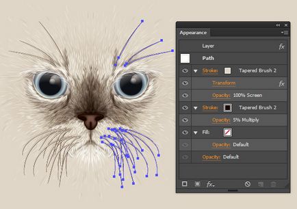 Малюємо великий портрет кішки з референсу в adobe illustrator