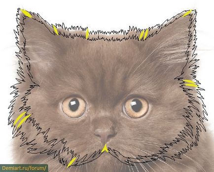 Döntetlen az Illustrator bolyhos macska alapján színátmenetek és ecset