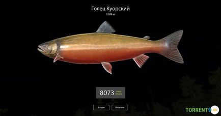 Pescuitul rusesc 4 download torrent gratuit pe pc