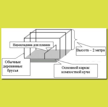 Cea mai rapidă creștere a legumelor utile