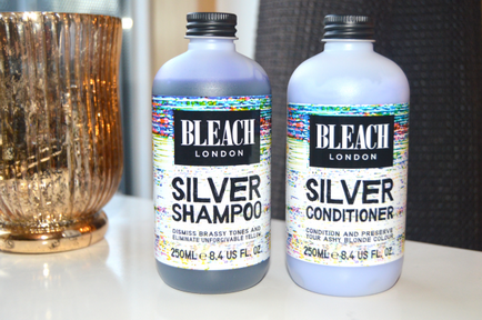 Șampon și balsam de păr pentru o marcă - o idee proastă - teritoriul stilului și creativității