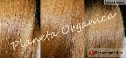 Шампунь planeta organica зміцнює хаммам для всіх типів волосся - «це найкращий шампунь!