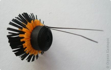 Bumblebee în tehnica de quilling