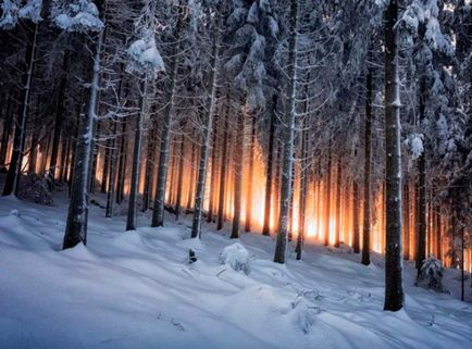 Pădurea Neagră - o capodoperă naturală a Germaniei