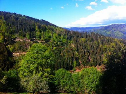 Pădurea Neagră - o capodoperă naturală a Germaniei