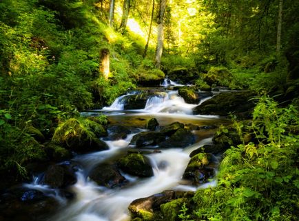 Pădurea Neagră - o capodoperă naturală a Germaniei