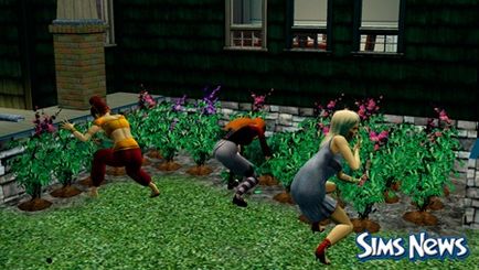 Sims 3 zombik! Hogyan lesz zombik a The Sims 3 zombik a Sims 3 Supernatural (további részletek