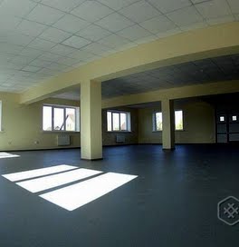 Închirierea de bunuri imobiliare comerciale, zhdanovichi