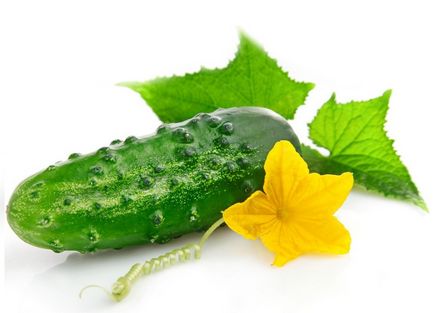 Pickles nezhenskie (uborka) Pickles nezhenskie
