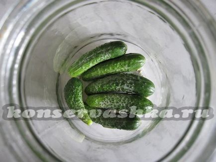 Pickles squash a tél - a recept egy fotó