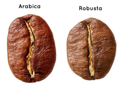 Categorii și tipuri de cafea - diferențe, caracteristici ale gustului