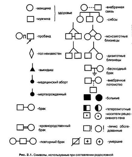 Desenarea unui pedigree