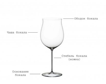 Сучасний винний етикет як правильно пити вино, як вибрати келих для вина, штопор і декантер