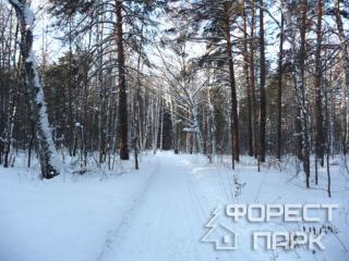 Sport komplex „Forest Park” Lipetsk régió Zadonsk kerület