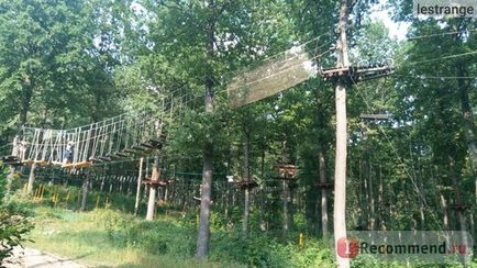 Complexul forestier complex forestier, zadonsk - 