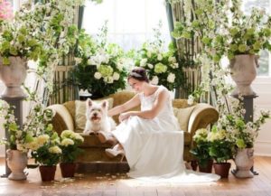 Nunta în stil englezesc foto, invitație, decorare